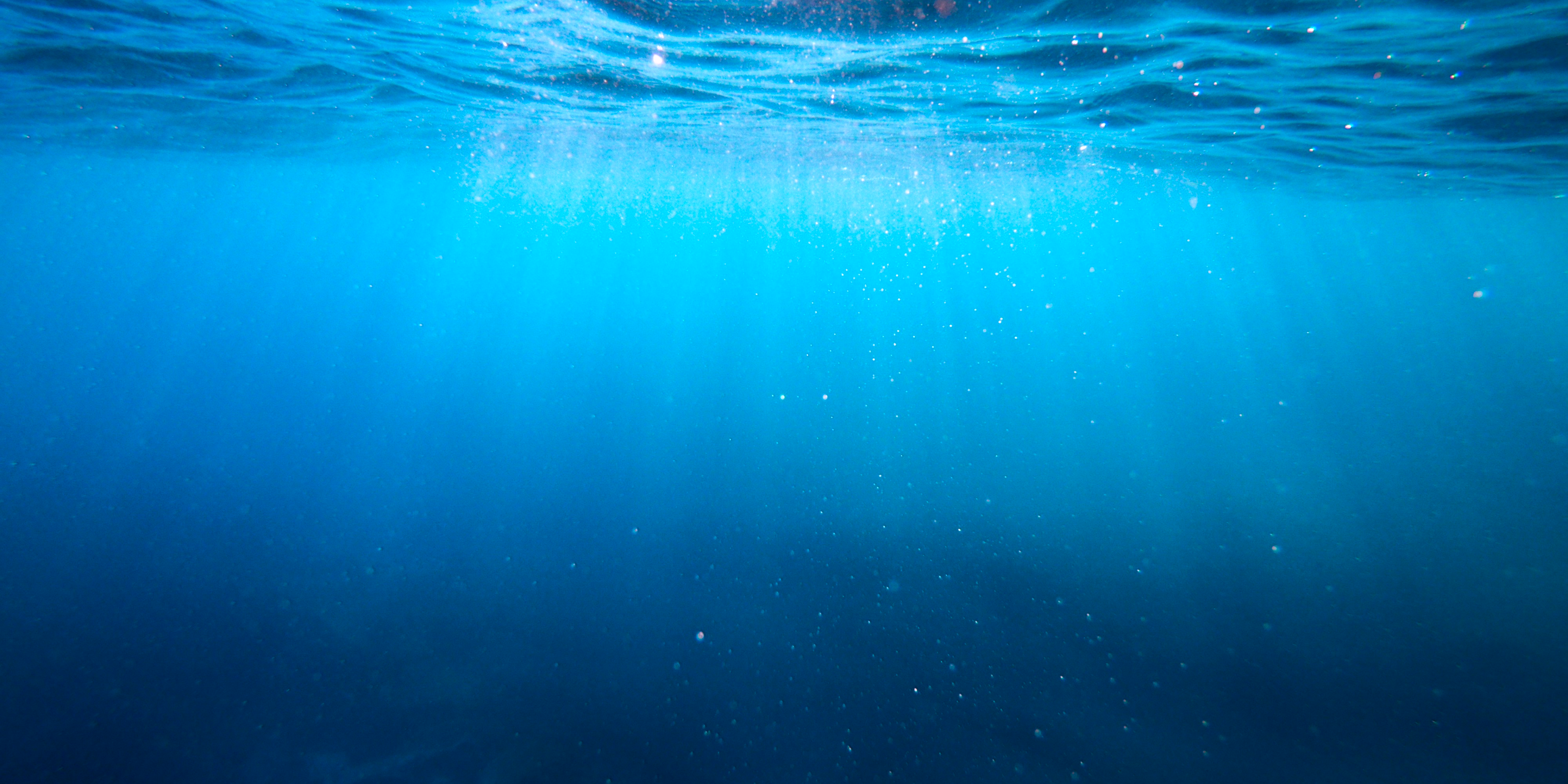 Underwater fishing scene